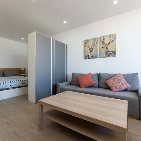 Seaview 1 Bedroom Modern